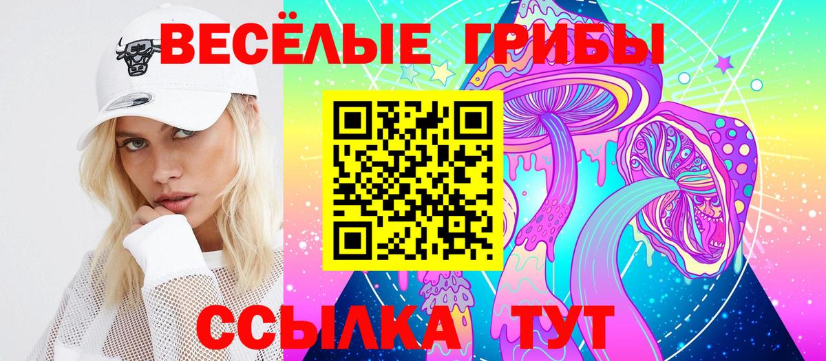 Псилоцибиновые грибы мицелий Белорецк