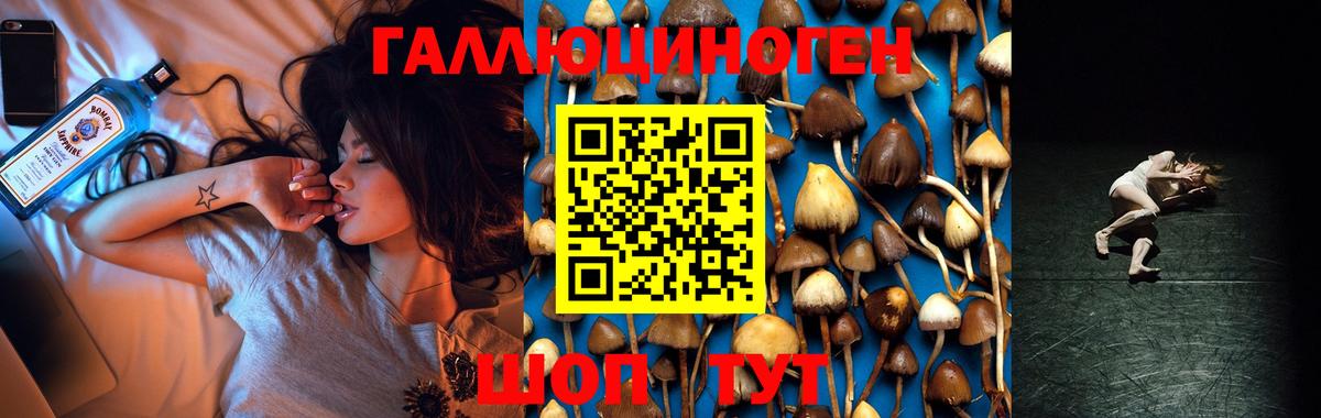 Белорецк  Псилоцибиновые грибы Magic Shrooms  Вход с VPN 